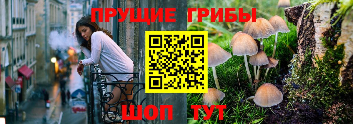 Псилоцибиновые грибы MAGIC MUSHROOMS  Вход с VPN  Отрадный 