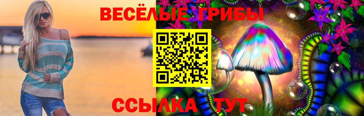 Галлюциногенные грибы Psilocybe Отрадный